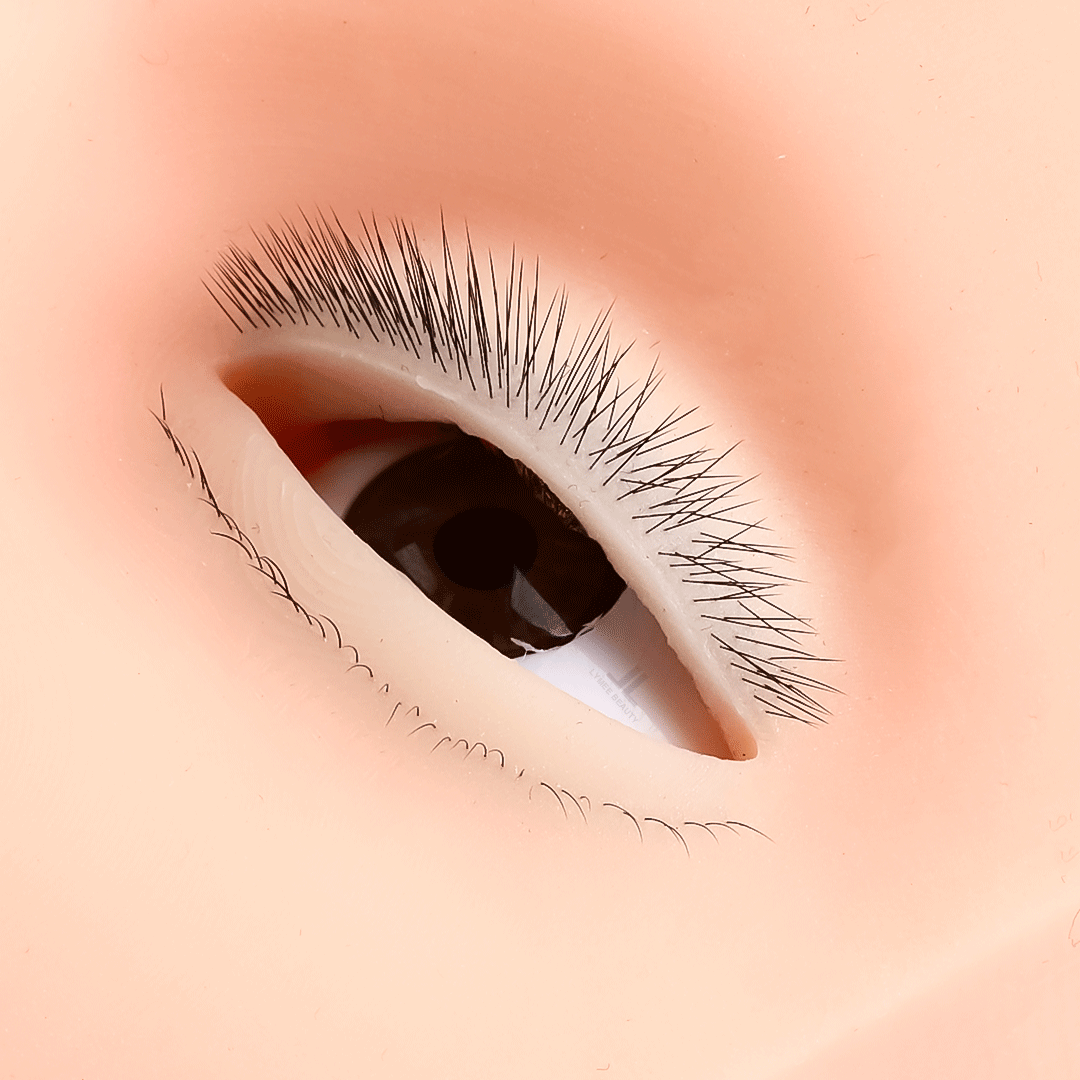 Mini manichino a 4 strati cald - Eyelash Extension Open Eye recensione e prezzo